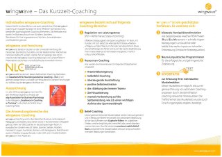 Flyer wingwave Flyer wingwave