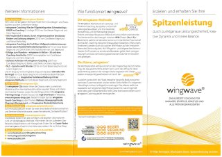 Flyer wingwave Flyer wingwave